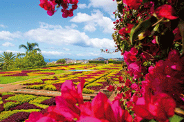 Botanischer Garten auf Madeira